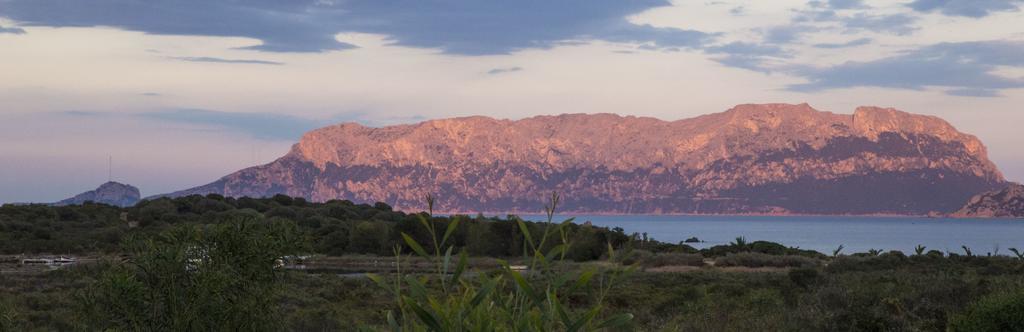 Bados Mare Διαμέρισμα Όλμπια Εξωτερικό φωτογραφία
